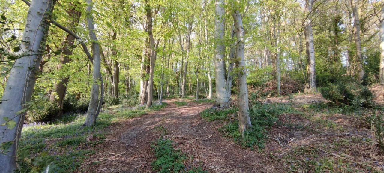 Gites 4,6 Personnes Fecamp Etretat Colleville Εξωτερικό φωτογραφία